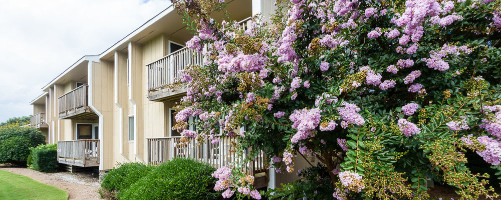 Sea Scape Beach And Golf Villas Kitty Hawk Exterior photo